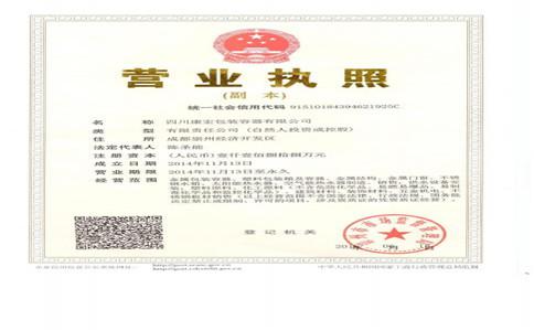 公司營業(yè)執(zhí)照圖